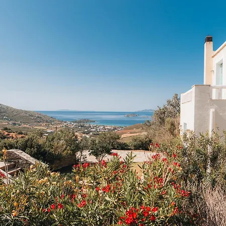Il Paradiso Andros Villa